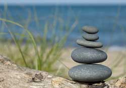 Stones on driftwood